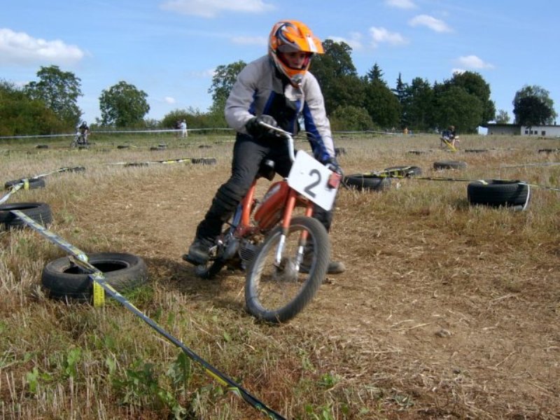 ingelheim2011