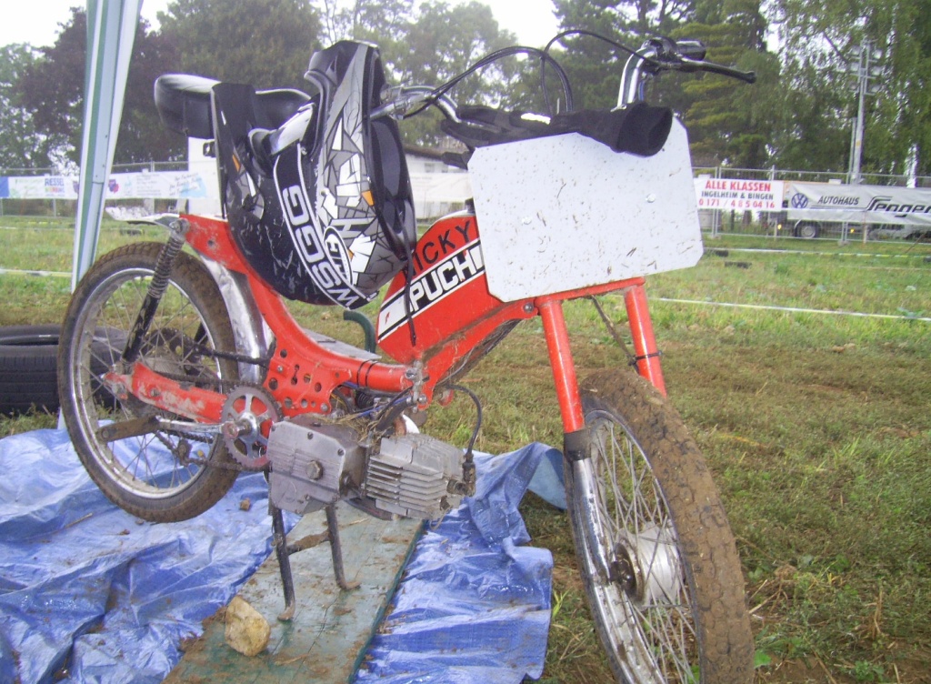 ingelheim2011