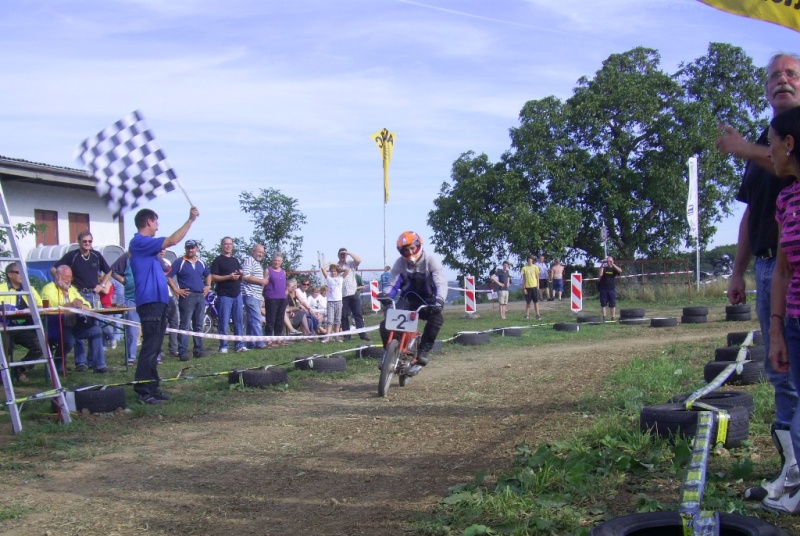 ingelheim2011