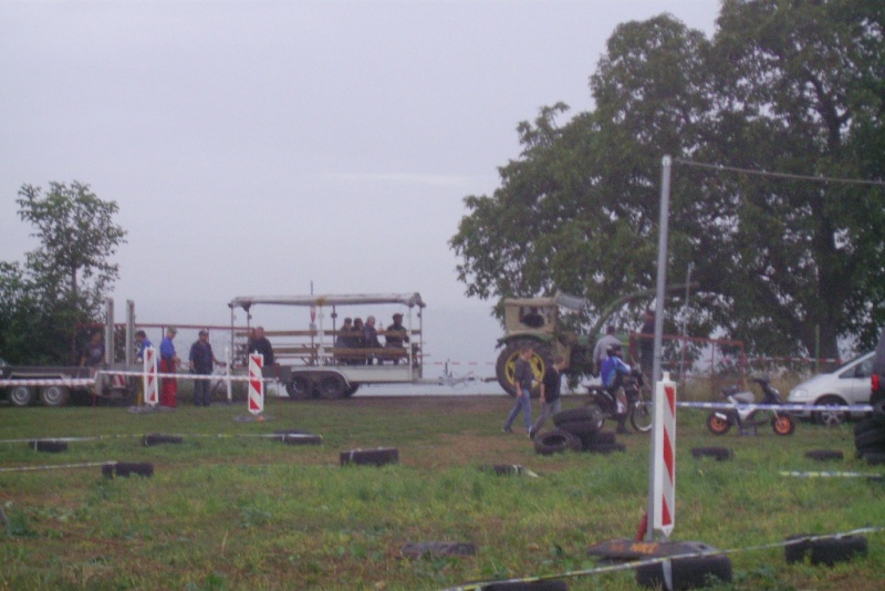 ingelheim2011