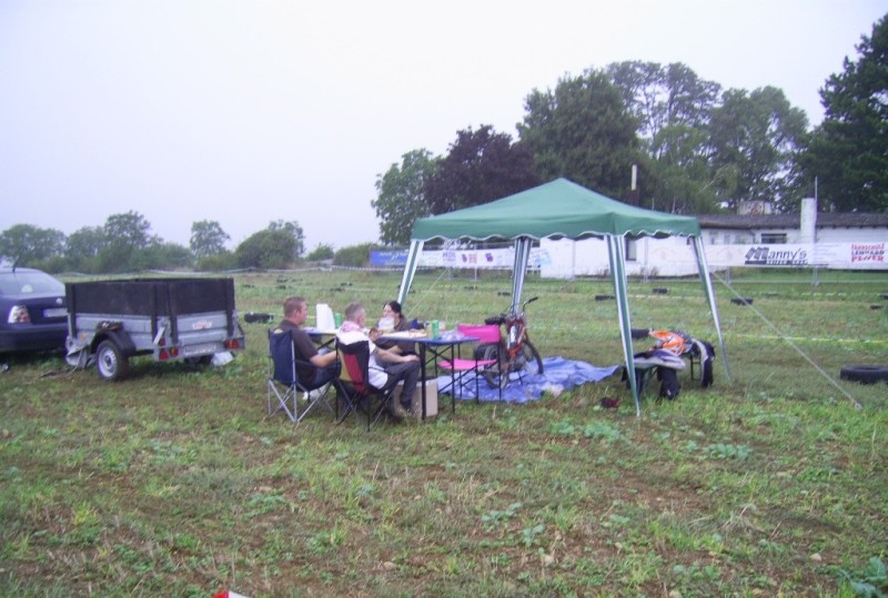 ingelheim2011
