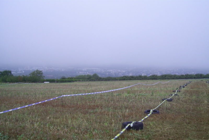 ingelheim2011