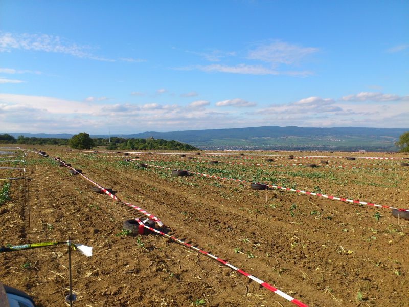 ingelheim2012