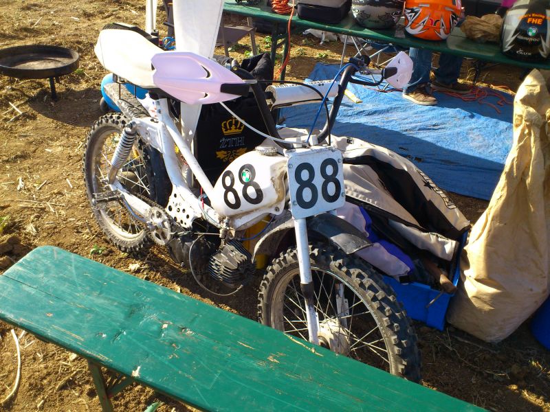 ingelheim2012