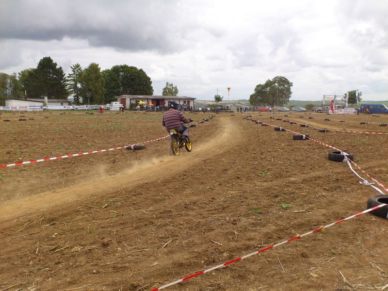 ingelheim2012