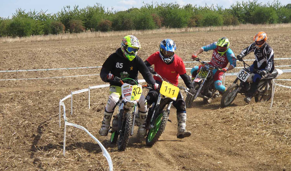 ingelheim2013