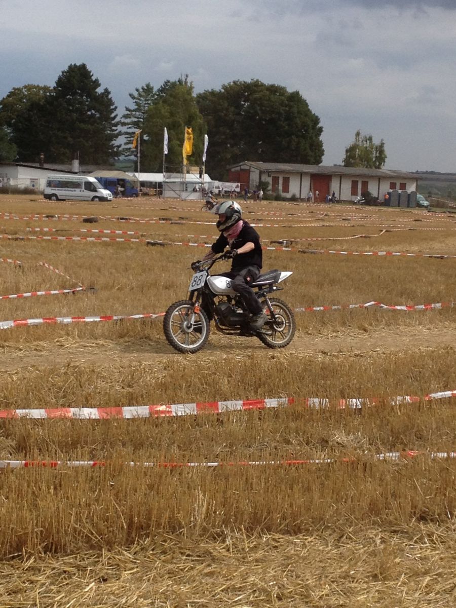 ingelheim2013