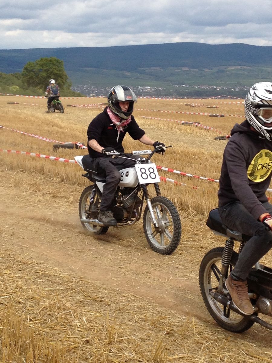 ingelheim2013