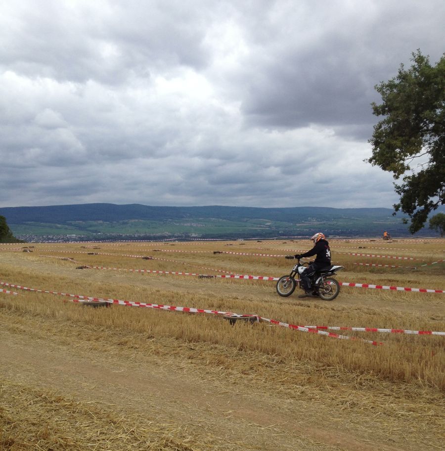 ingelheim2013