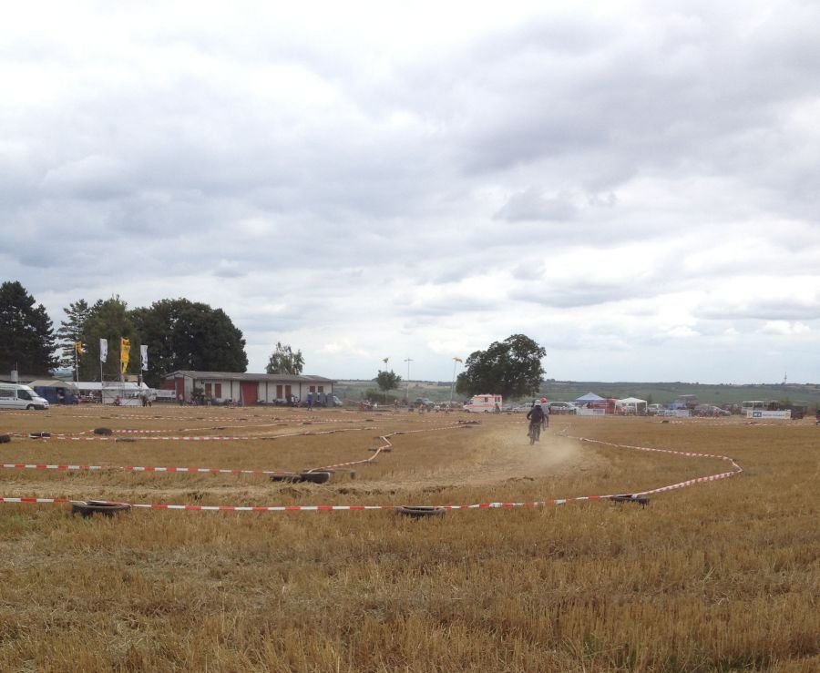 ingelheim2013