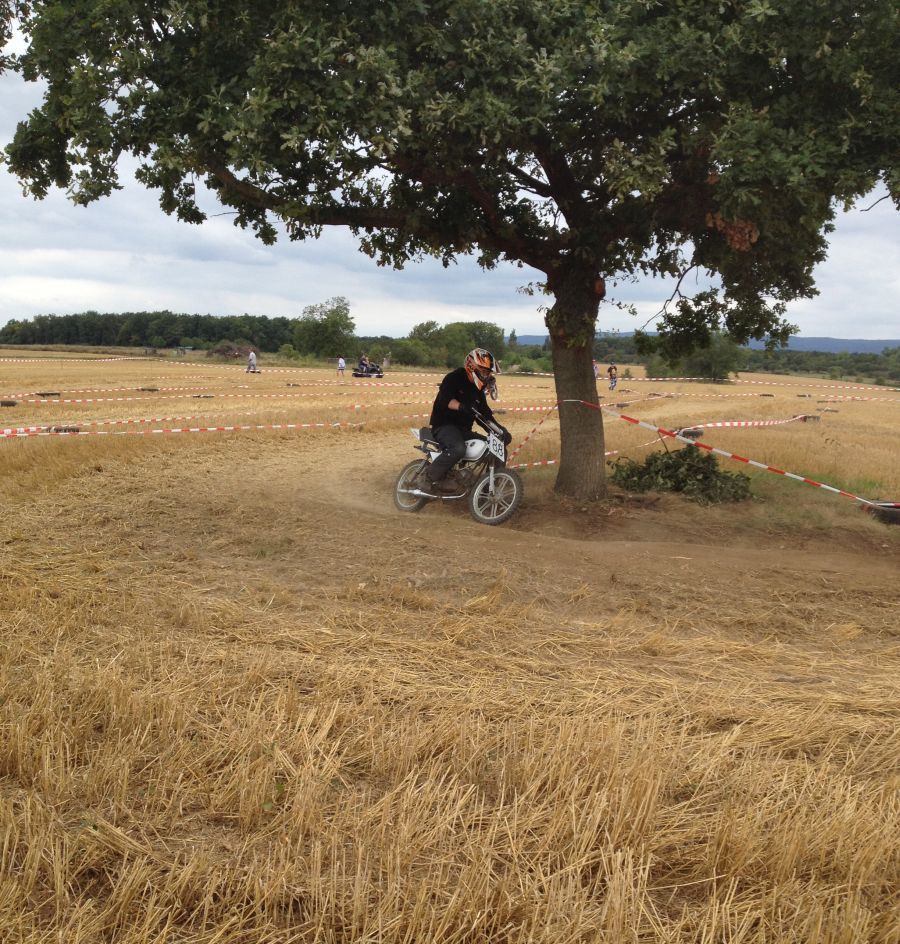 ingelheim2013