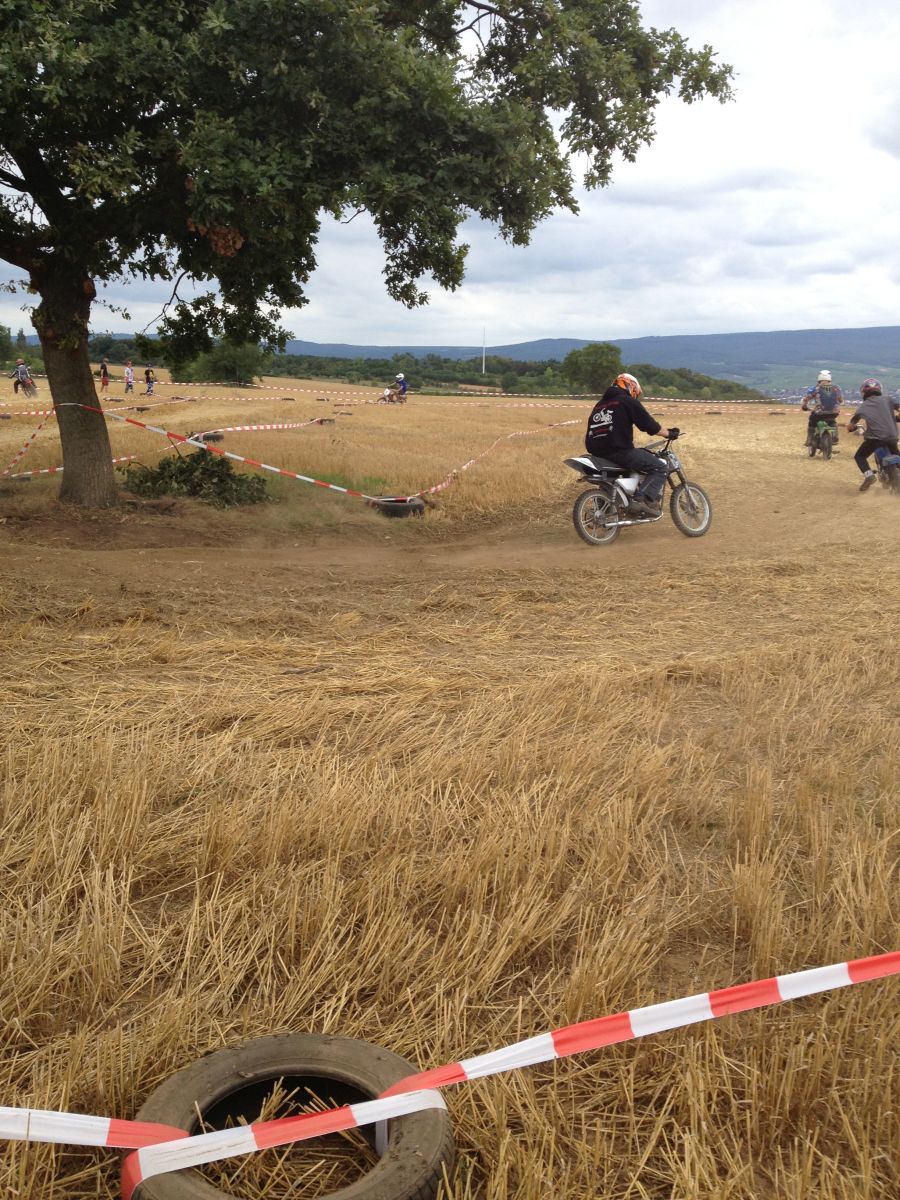 ingelheim2013