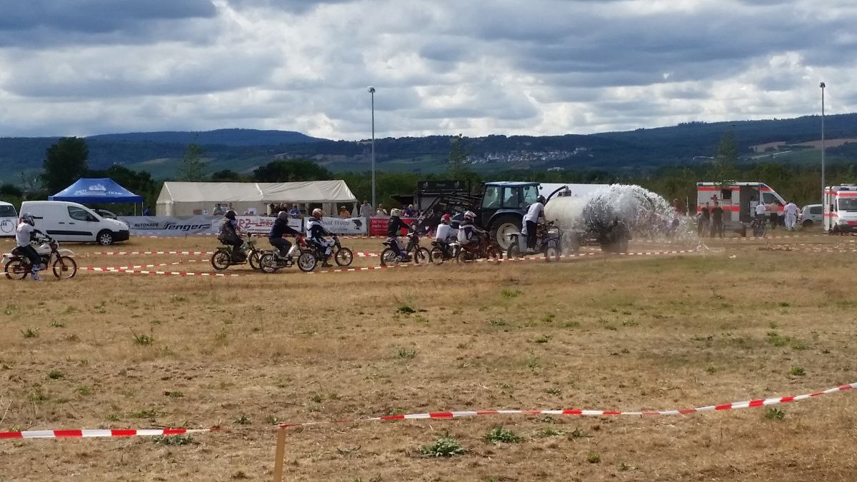 ingelheim2015