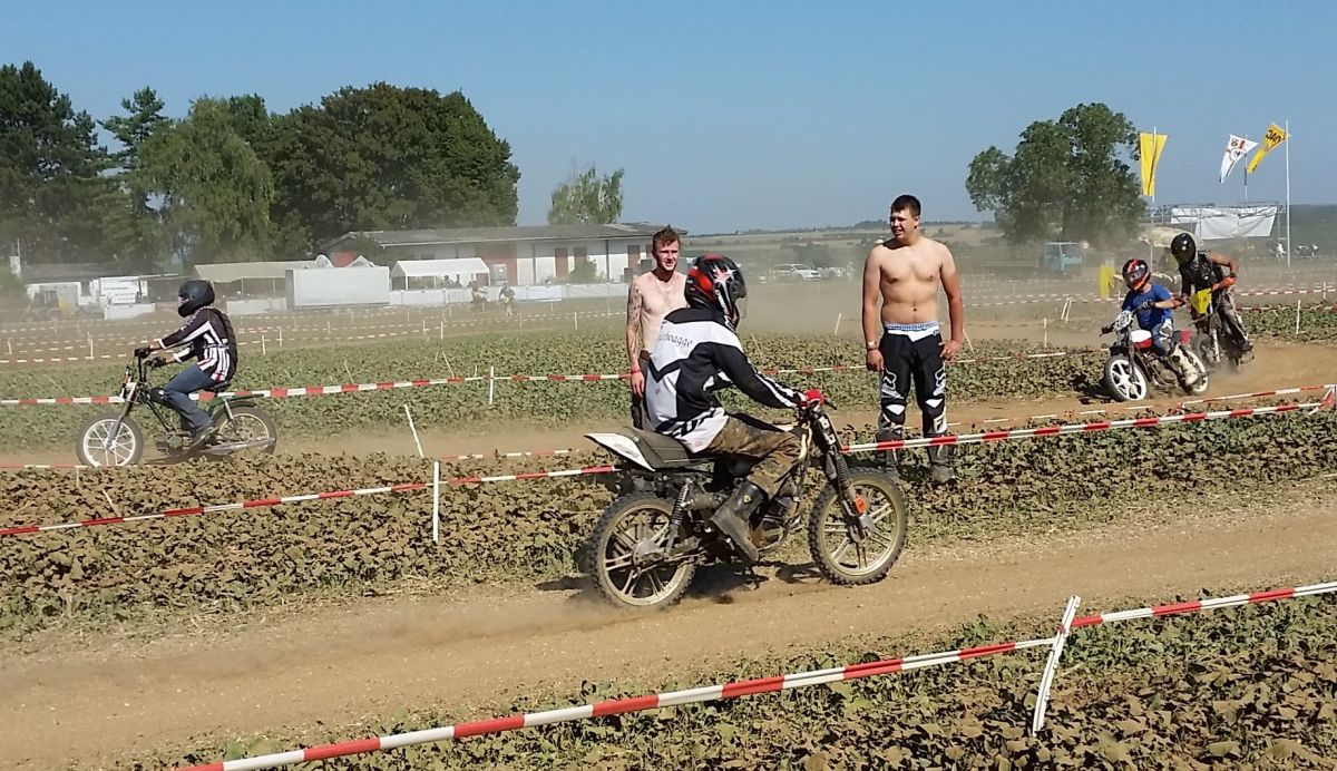 ingelheim2016