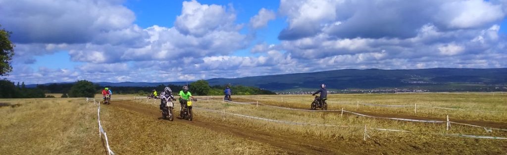 ingelheim 2017
