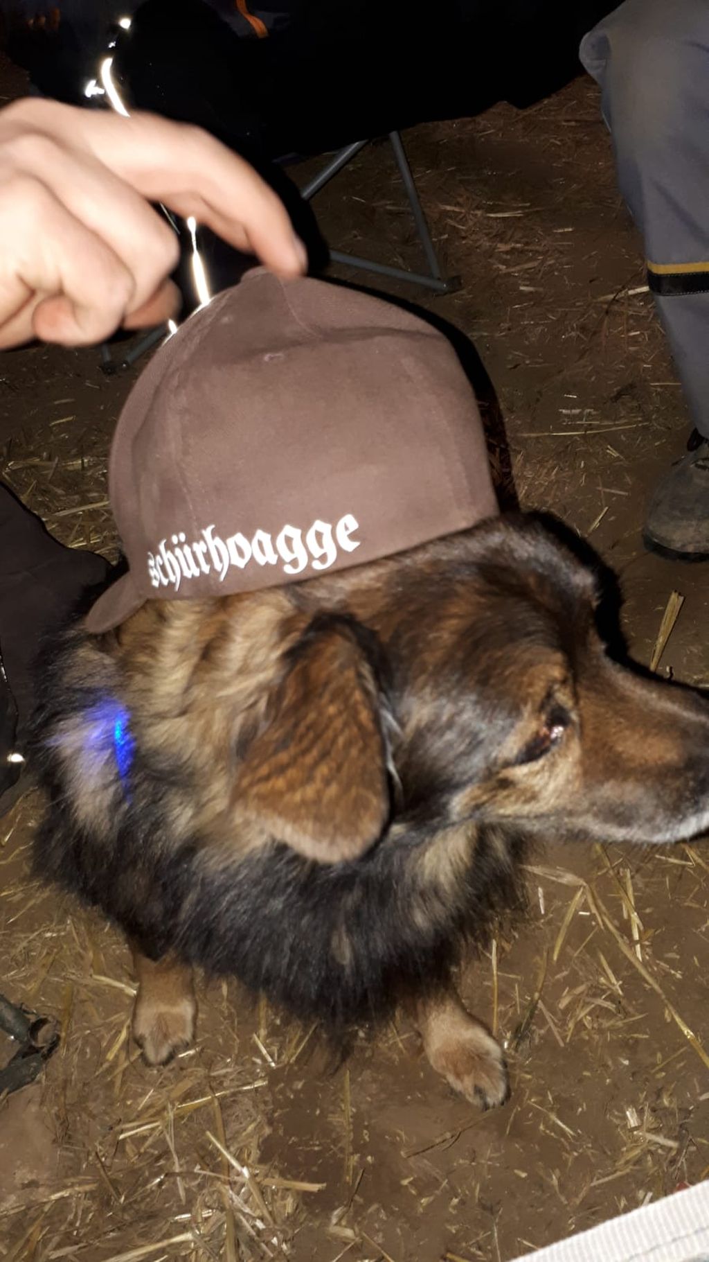 ingelheim2018