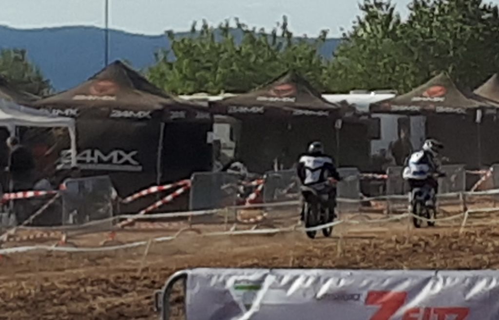 ingelheim2018