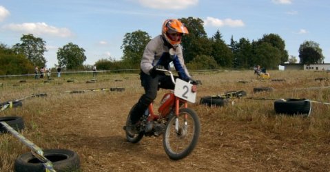 ingelheim 2011