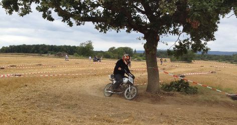 ingelheim 2013