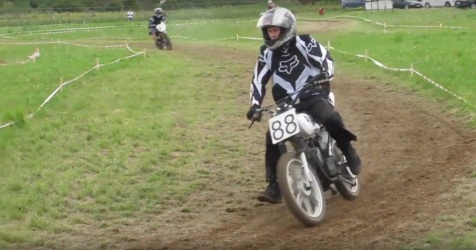 ingelheim 2014