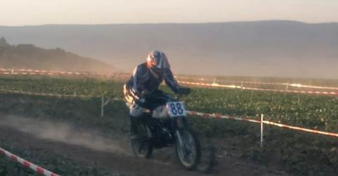 Ingelheim 2016