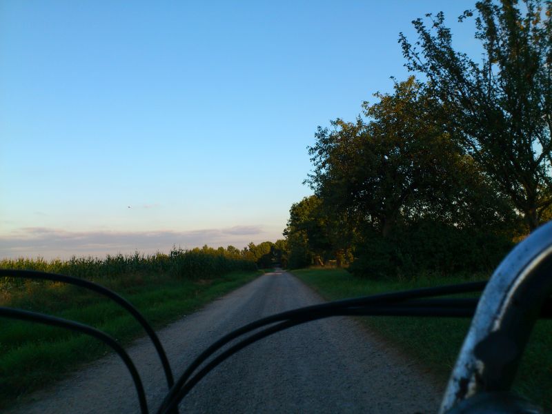 muehle2012