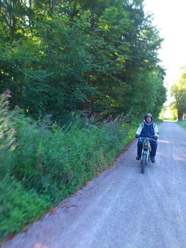 muehle2012
