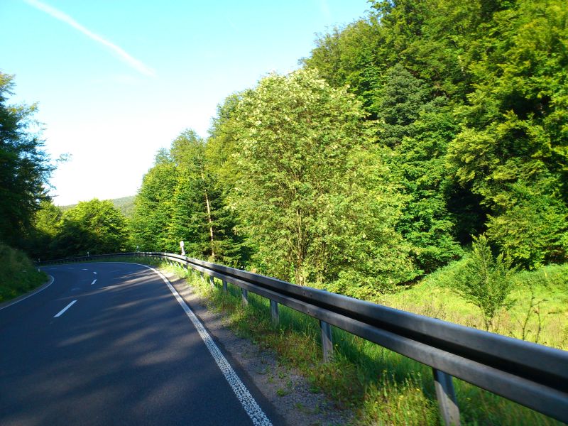 muehle2012