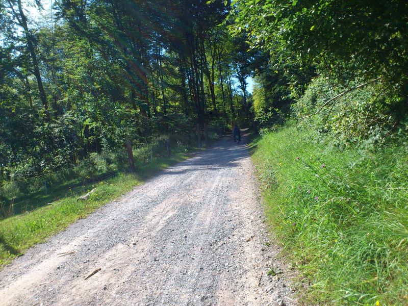 muehle2012