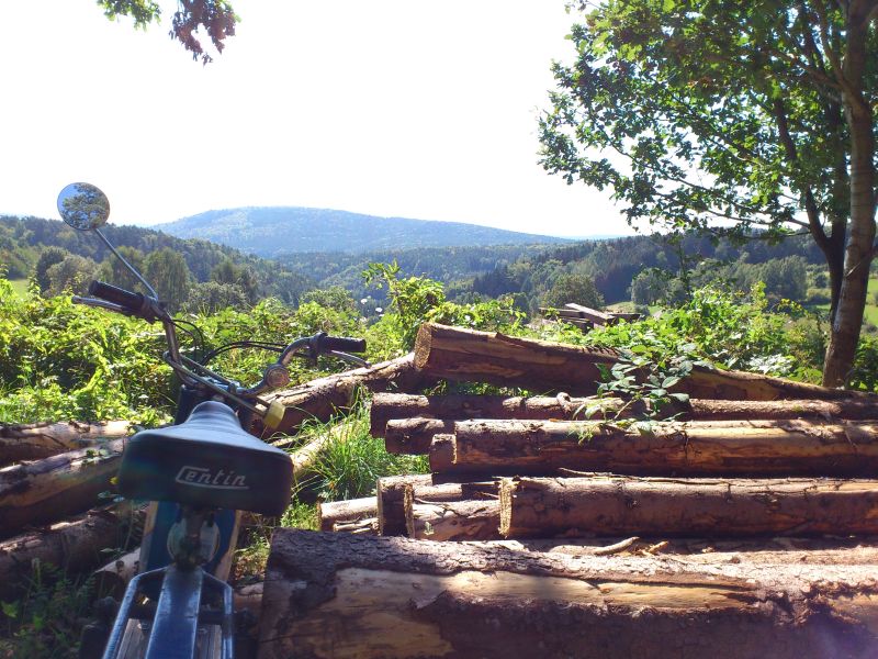 muehle2012