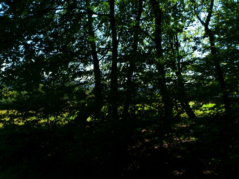 muehle2012