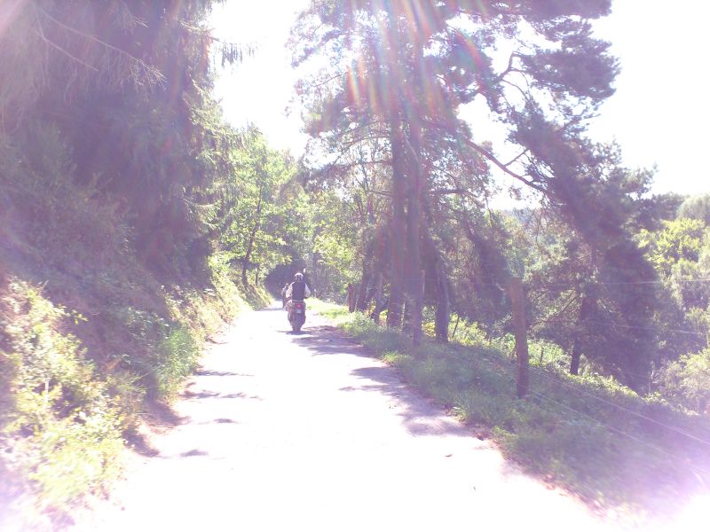 muehle2012