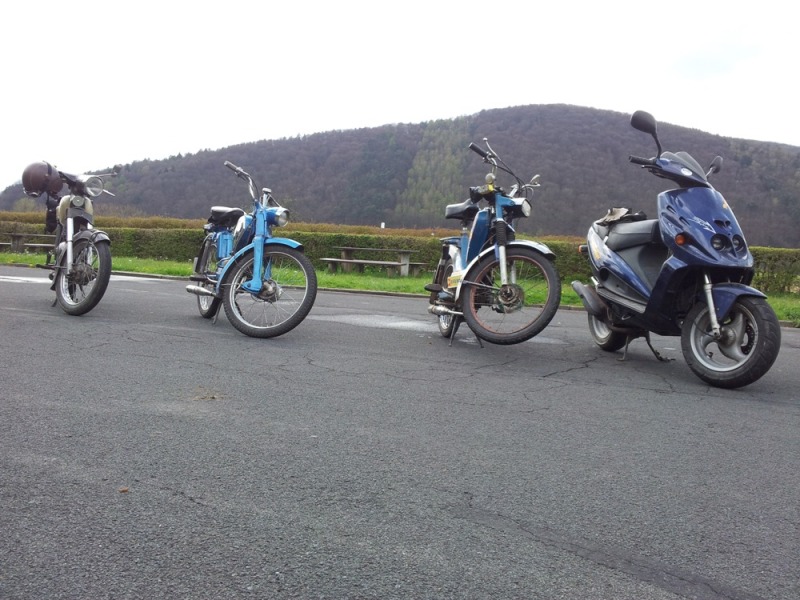 rhoen2012